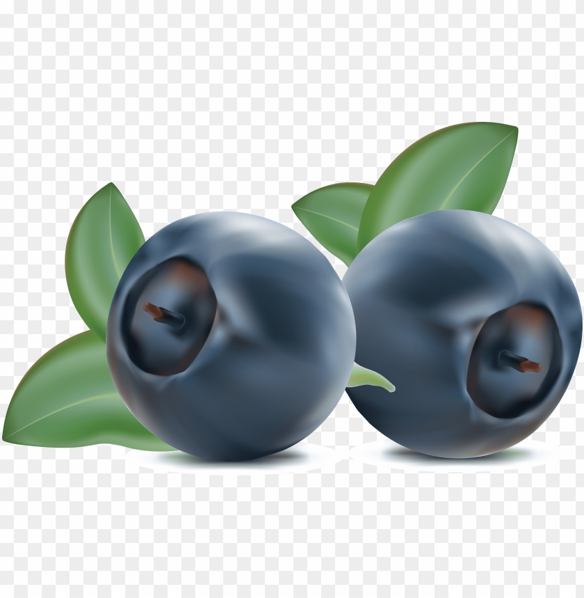 
blueberries
, 
flowering plants
, 
indigo
, 
berries
, 
cyanococcus
