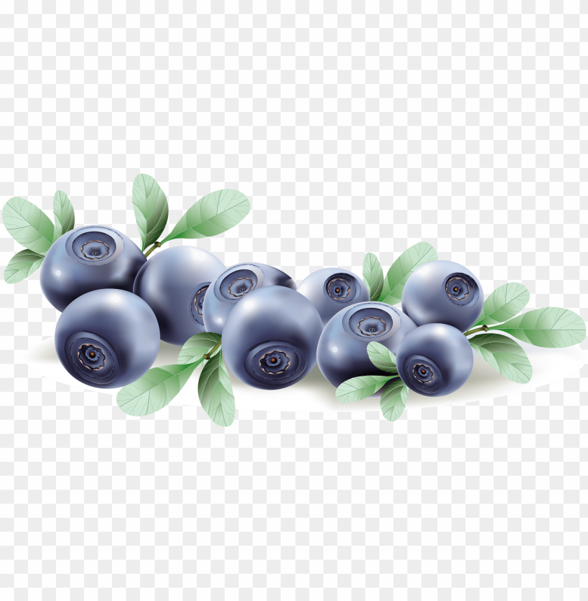 
blueberries
, 
flowering plants
, 
indigo
, 
berries
, 
cyanococcus
