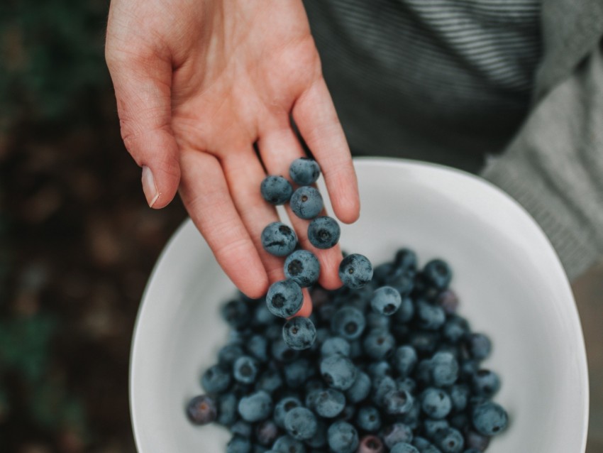 Blueberries Berries Hand Bowl Background