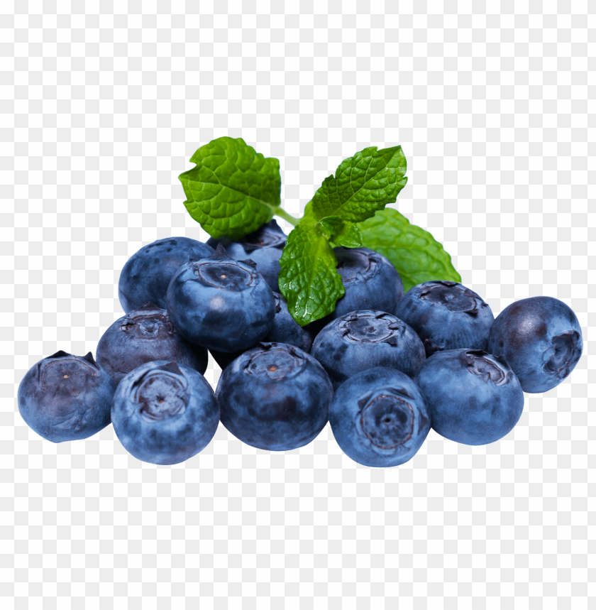 Fresh Blueberries PNG, fruit, healthy, berries