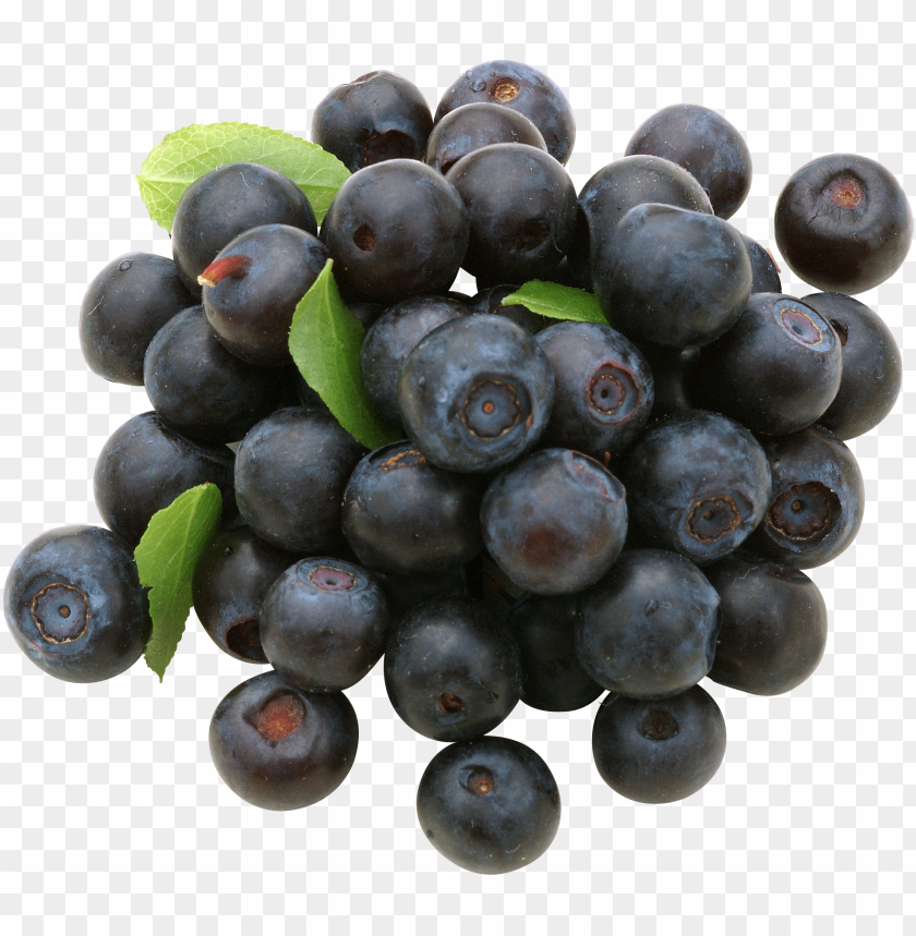 
berry
, 
fruit
, 
delicious
, 
drawing
, 
blueberry
