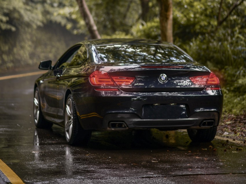 bmw 650i m sport, bmw, car, sports, rear view, coupe, dark blue