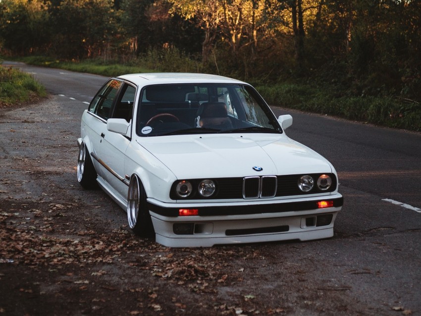 bmw, white, car, autumn, trees