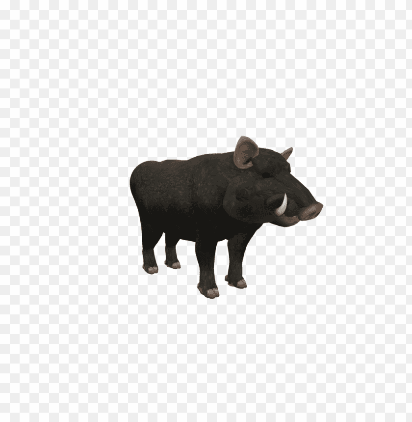 boar,boar free png,boar png free,boar free png,boar png,boar images png,boar file png