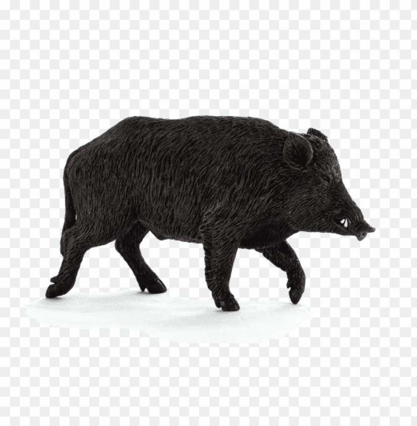 boar,boar free png,boar png free,boar free png,boar png,boar images png,boar file png