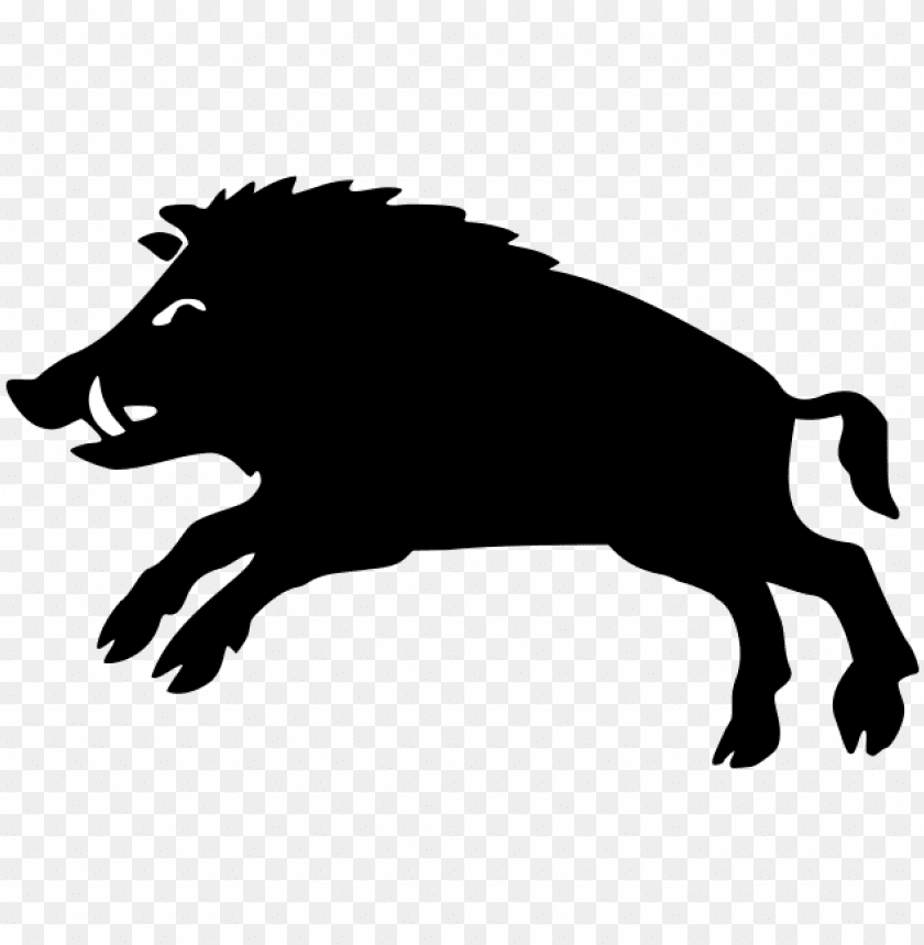 boar,boar free png,boar png free,boar free png,boar png,boar images png,boar file png