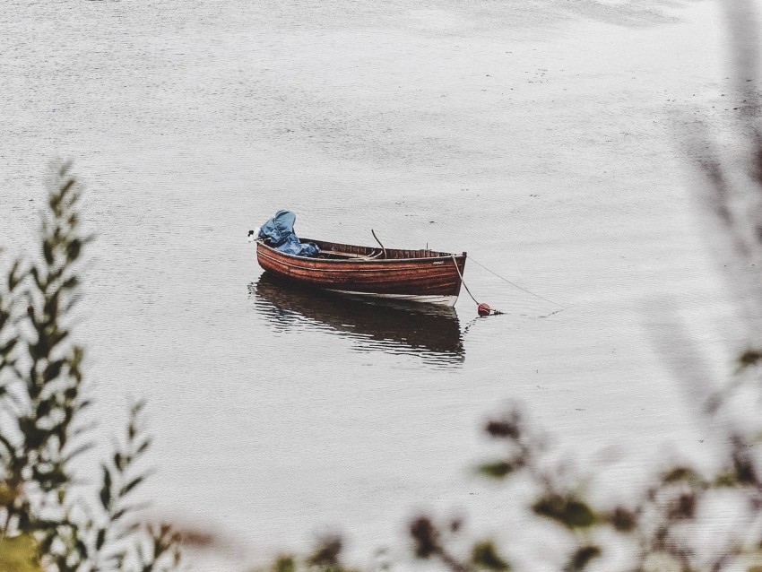 boat, lake, water, bushes