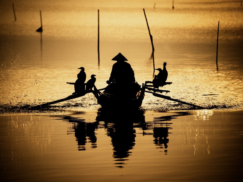 Boat Silhouette Dark River Oars Birds Reflection Background