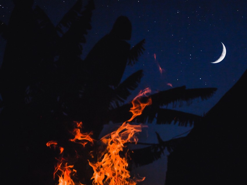 Bonfire Fire Night Palm Moon Starry Sky Background