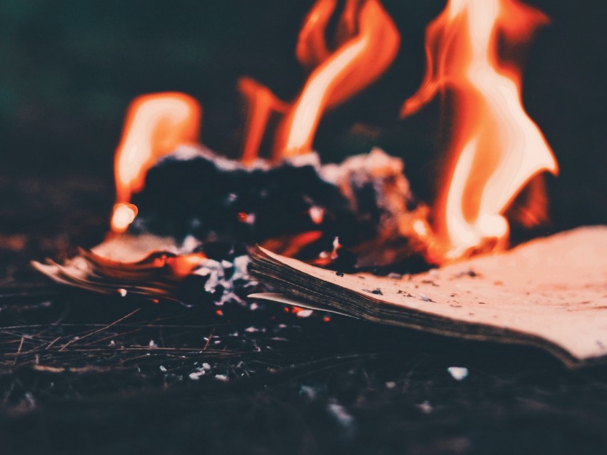 bonfire, fire, paper, ashes, burn