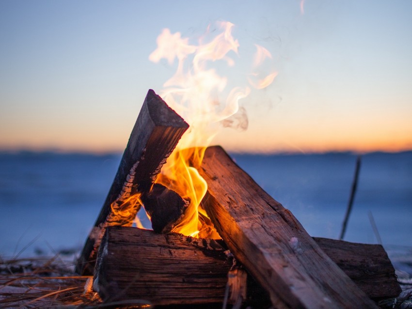 bonfire, firewood, fire, flame, camping, evening