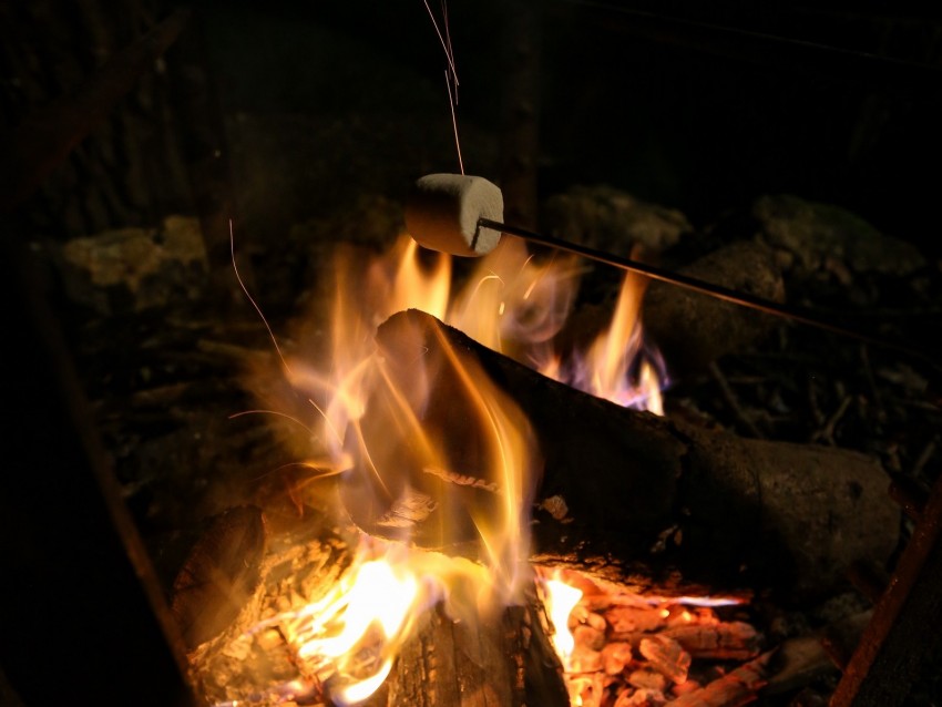 Bonfire Marshmallow Camping Fire Night Background