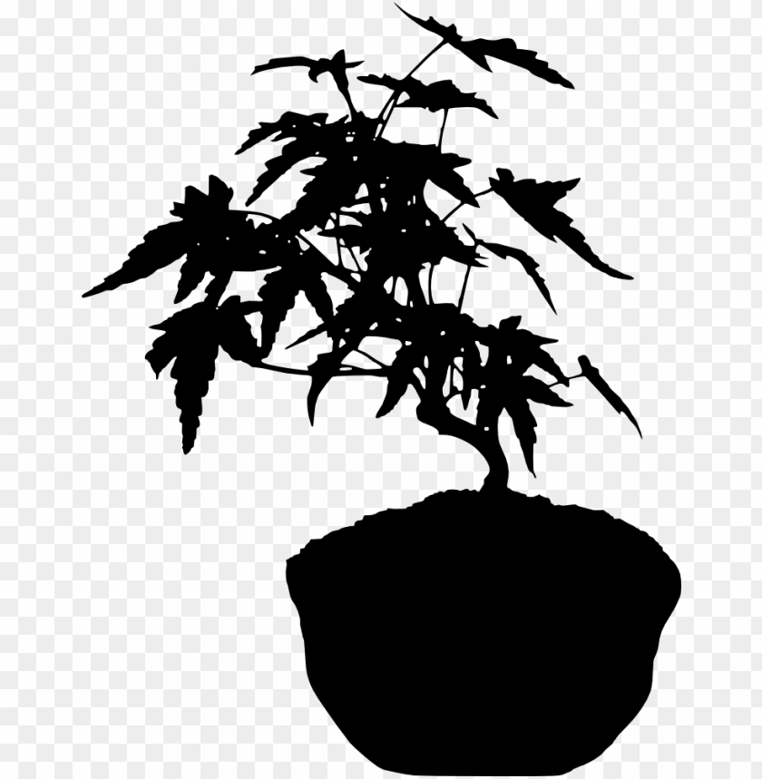 silhouette png,silhouette png image,silhouette png file,silhouette transparent background,silhouette images png,silhouette images clip art,bonsai