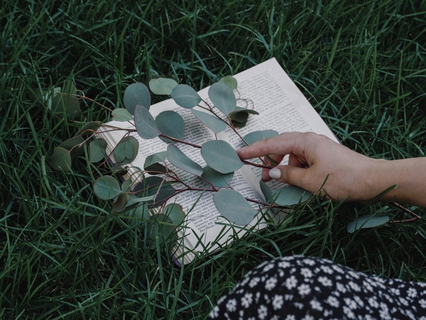 book, branch, hand, grass, lawn