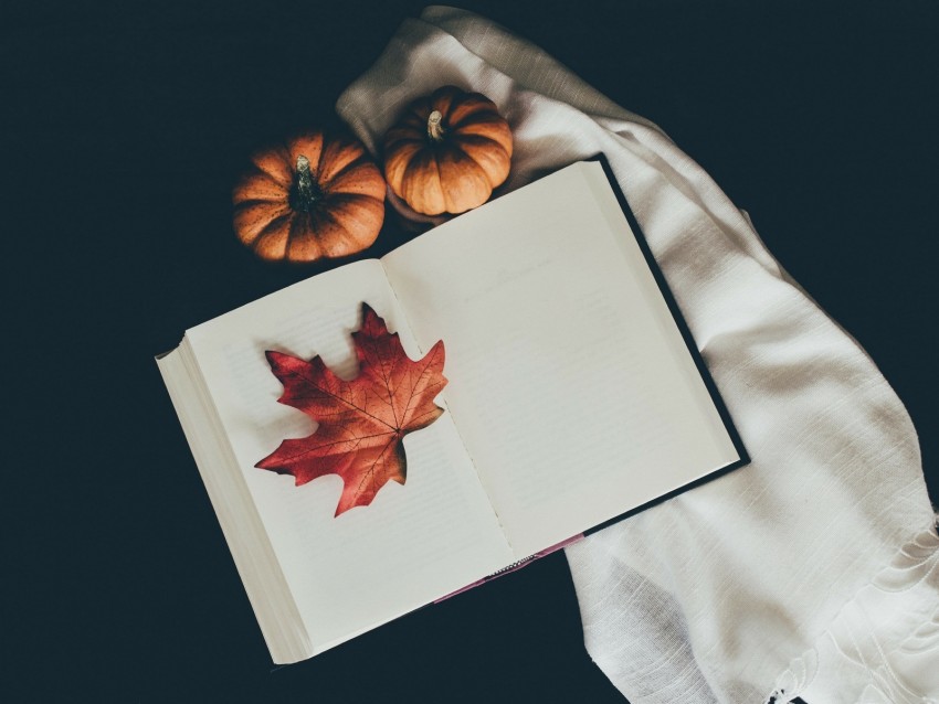 book, leaf, pumpkin, scarf, autumn