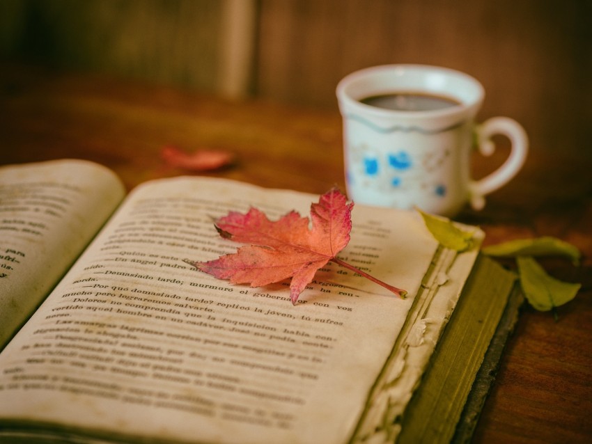 Book Leaves Cup Autumn Comfort Reading Coffee Background