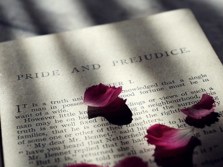 book, petals, text, shadow