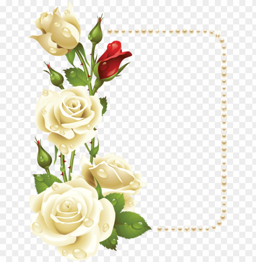 border, corners, roses, illustration, pharmacy, curl, wallpaper