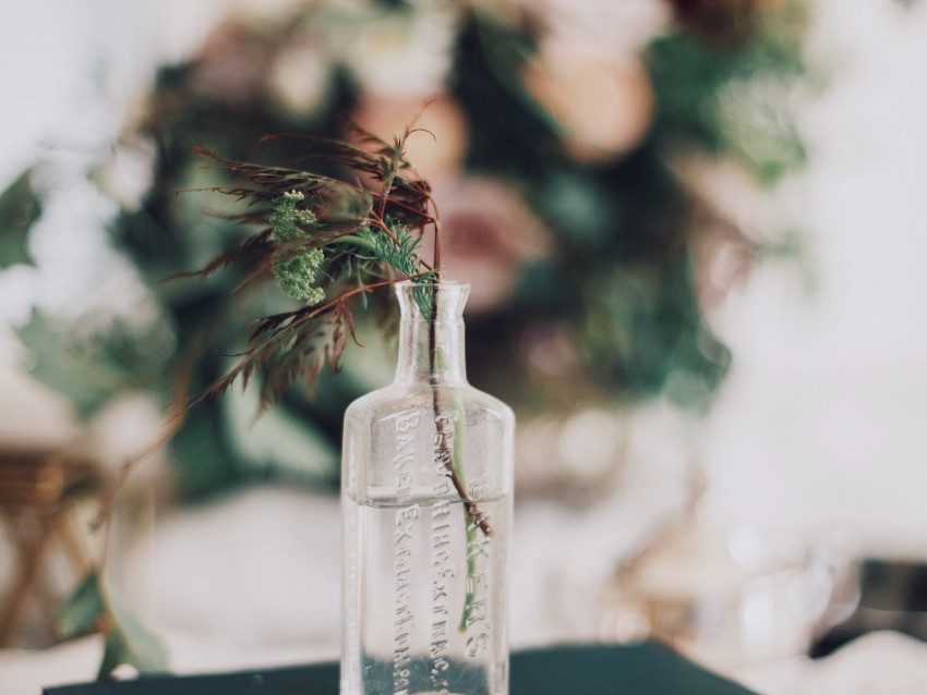 bottle, bouquet, branches, vase, book