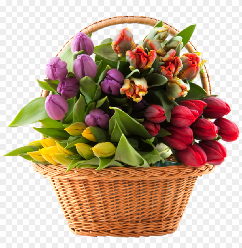 
bouquet
, 
flowers
, 
basket of flowers
, 
cluster
, 
bunch
