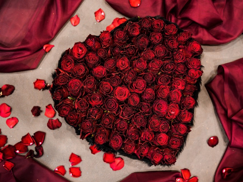 bouquet, roses, composition, heart