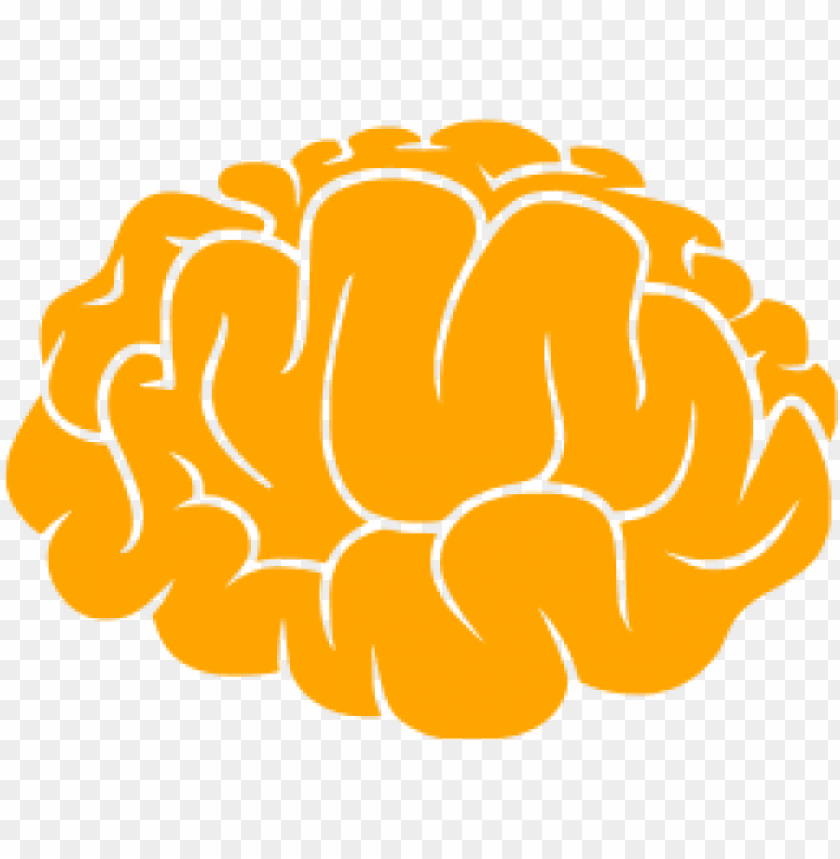 nut, brain-shaped snack, orange food, healthy snacks, organic nuts, nutty flavor, crunchy snack