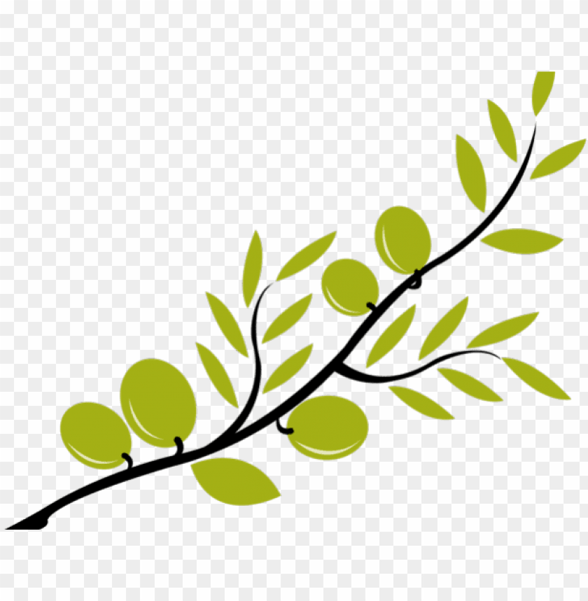 branches, olive wreath, illustration, wreath, leaf, winner, food