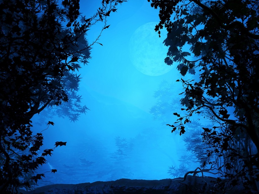 moonlit forest, blue mist, night scenery, silhouette trees, serene landscape