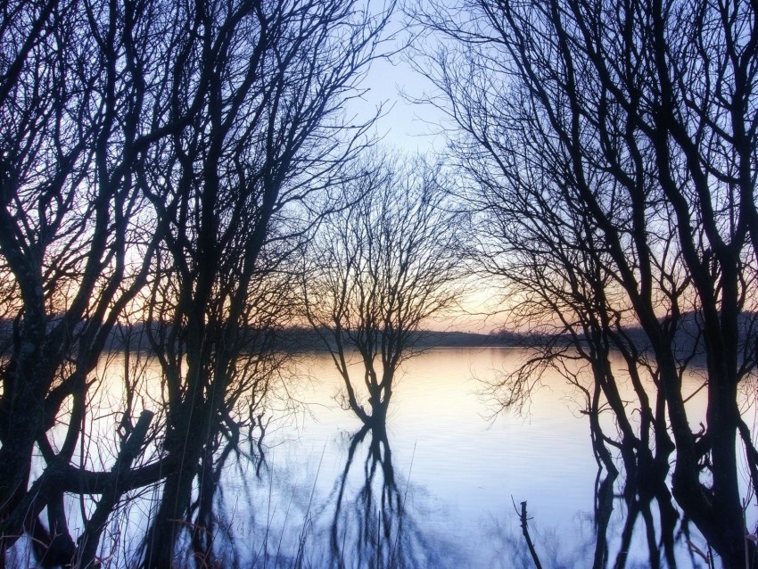 branches, trees, river, autumn, sunset, horizon