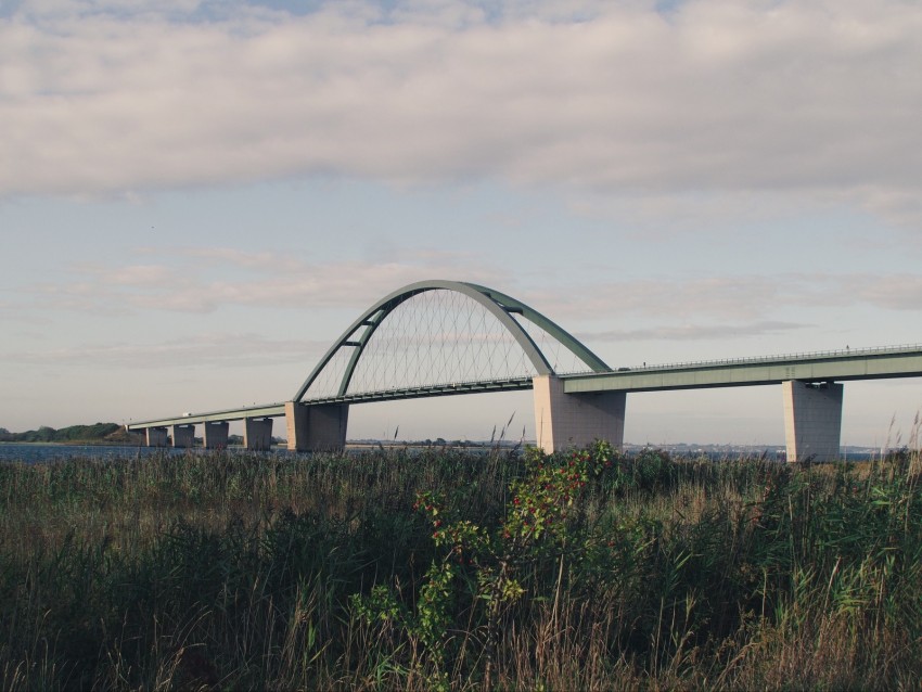 bridge, coast, river, reed, bushes