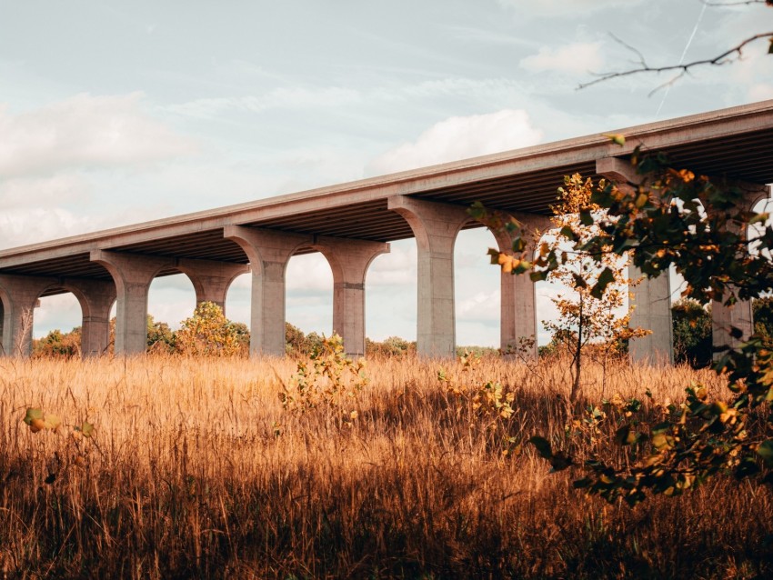 bridge, construction, architecture, grass, tree