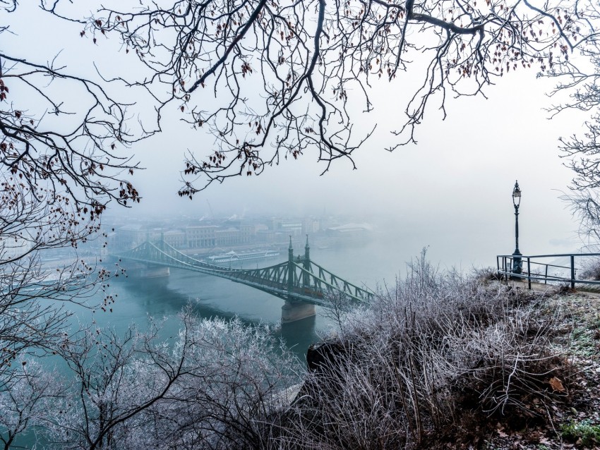 bridge, fog, aerial view, branches, frost, snow, winter