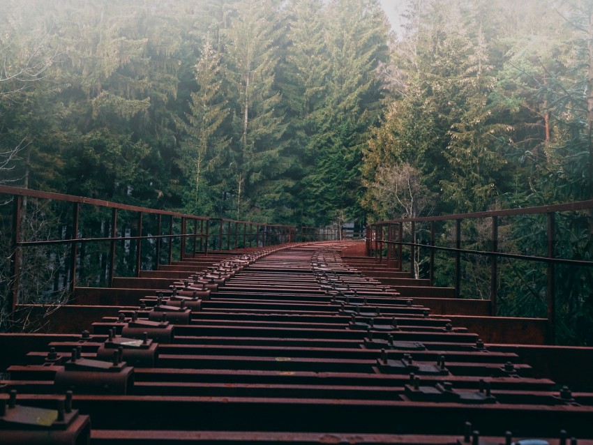 bridge, forest, fog, trees