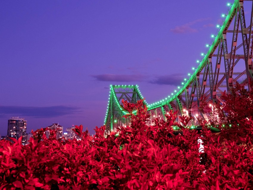 bridge, night, backlight, bushes, city