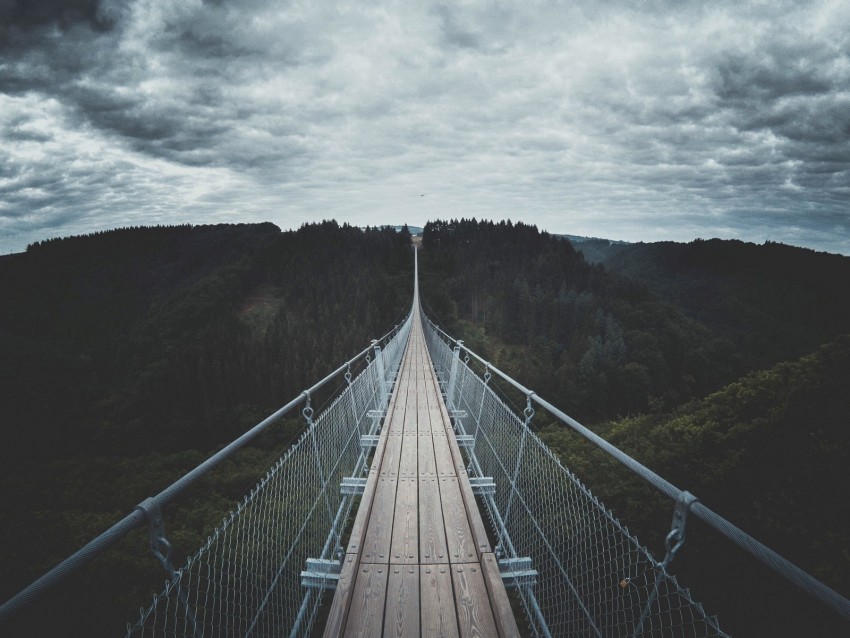 bridge, suspended, wood, trees, sky, clouds, germany