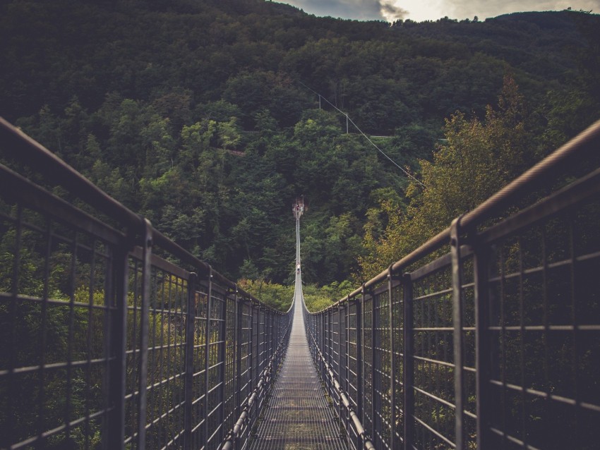 bridge, suspension bridge, forest, direction, trees, clouds