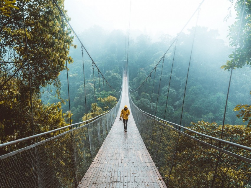 bridge, suspension bridge, loneliness, walk, forest