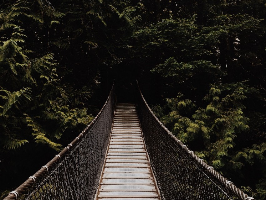 bridge, suspension bridge, trees, forest, dark