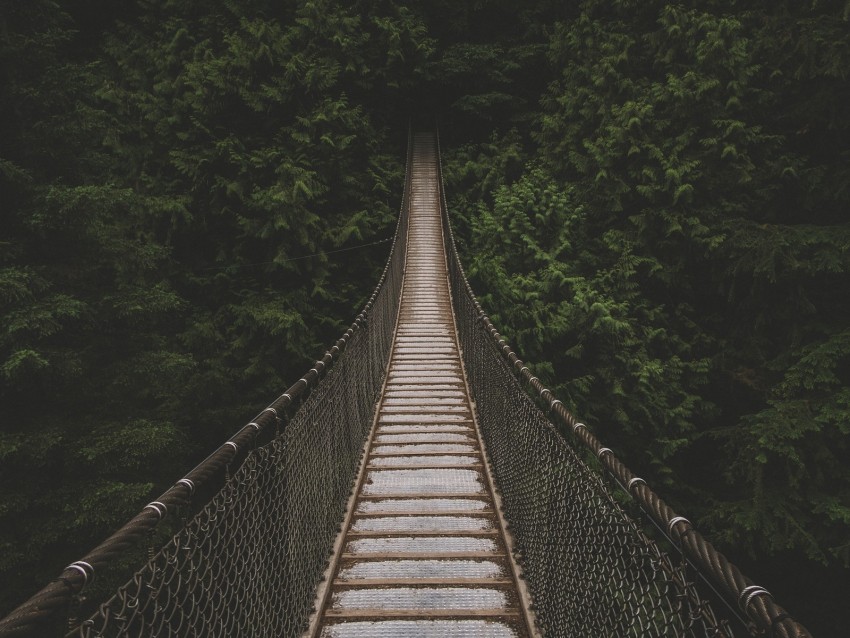 bridge, suspension bridge, trees, forest, greens