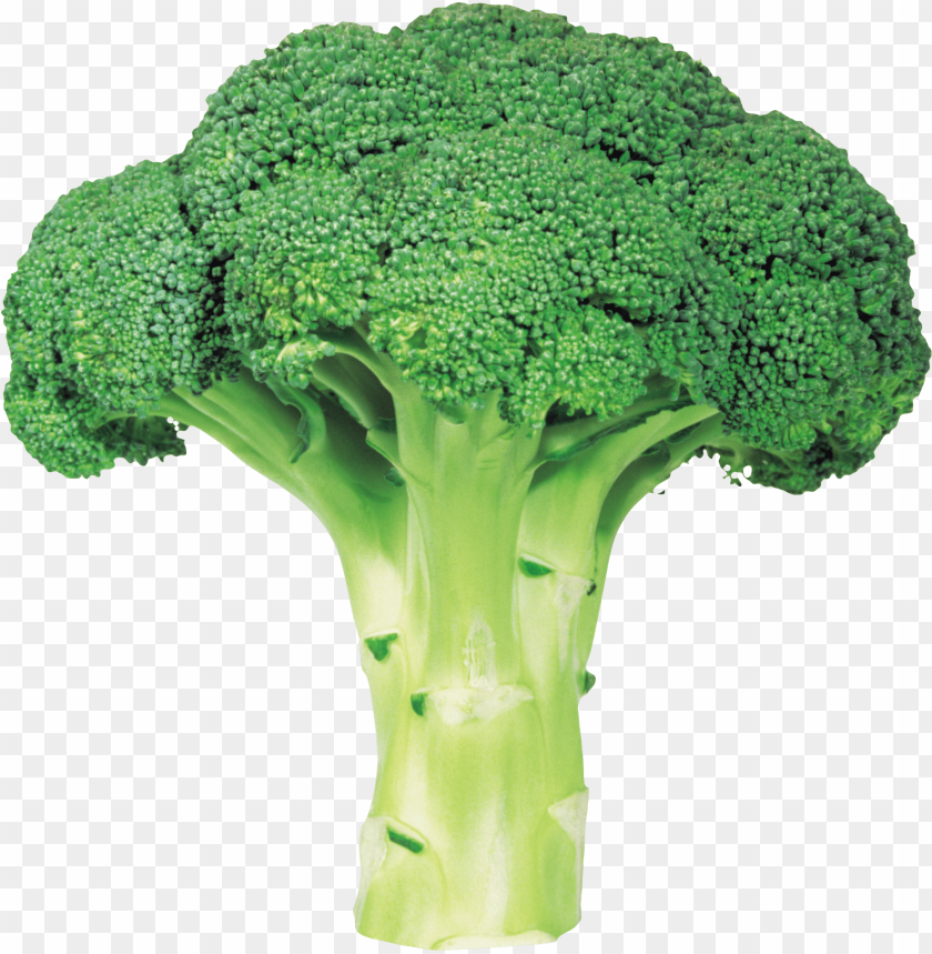 
broccoli
, 
green plant
, 
vegetable
, 
broccolo
