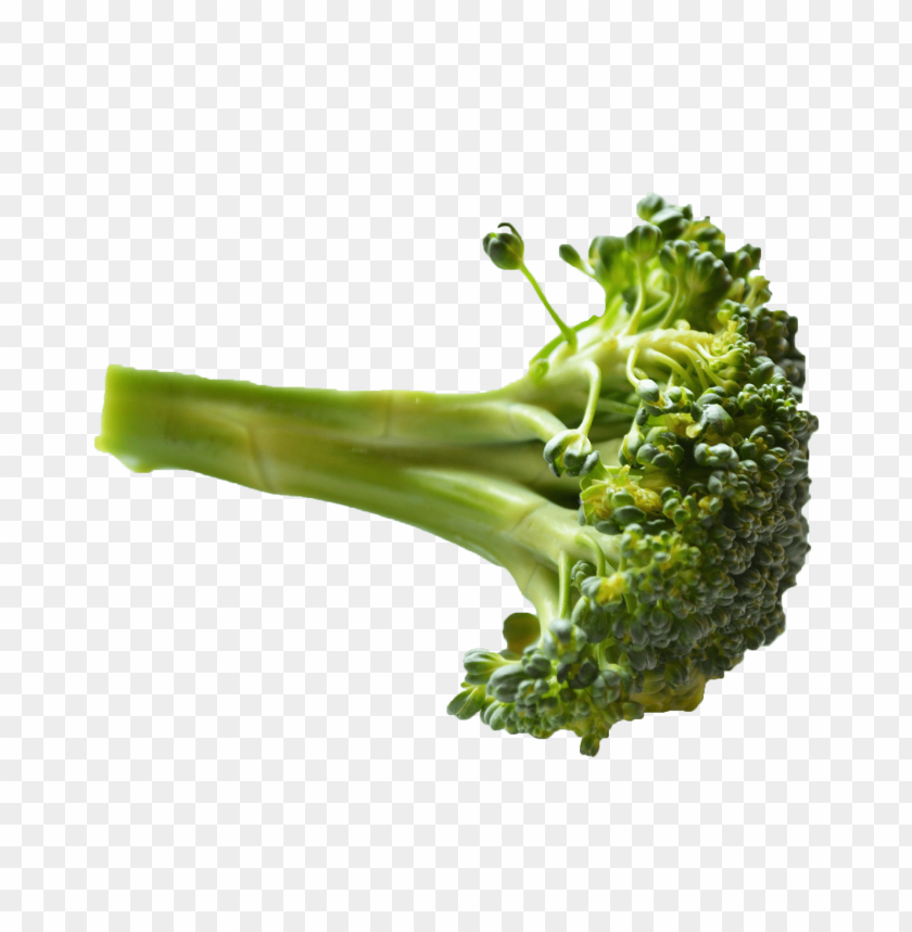 
vegetables
, 
fresh
, 
healty
, 
green
, 
food
, 
broccoli
