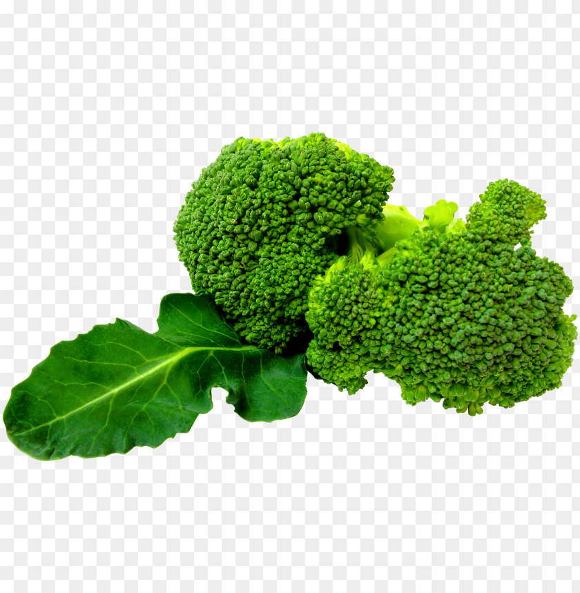 
broccoli
, 
green plant
, 
vegetable
, 
broccolo
