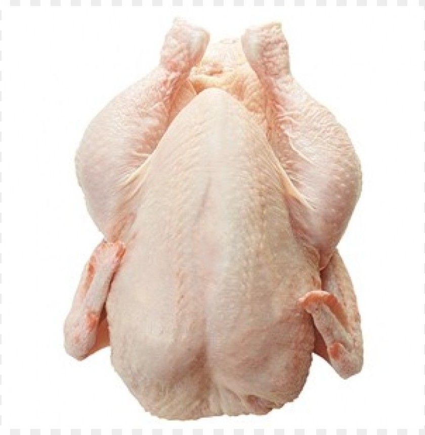 broiler chicken meat, broiler,chickenmeat,chicken