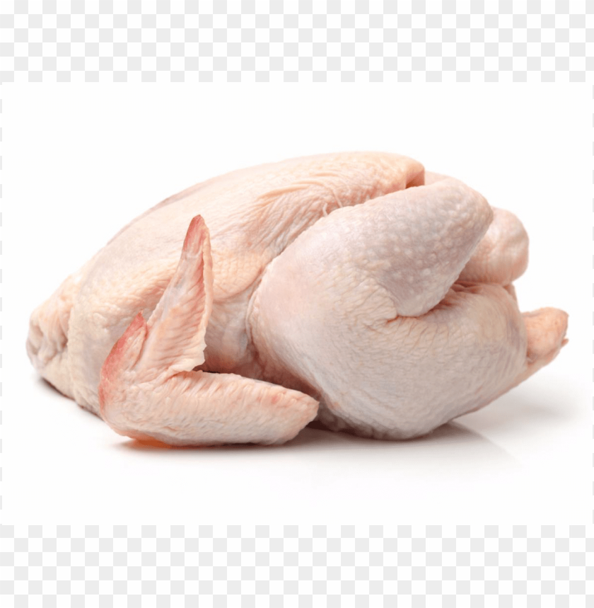 broiler chicken meat, broiler,chickenmeat,chicken