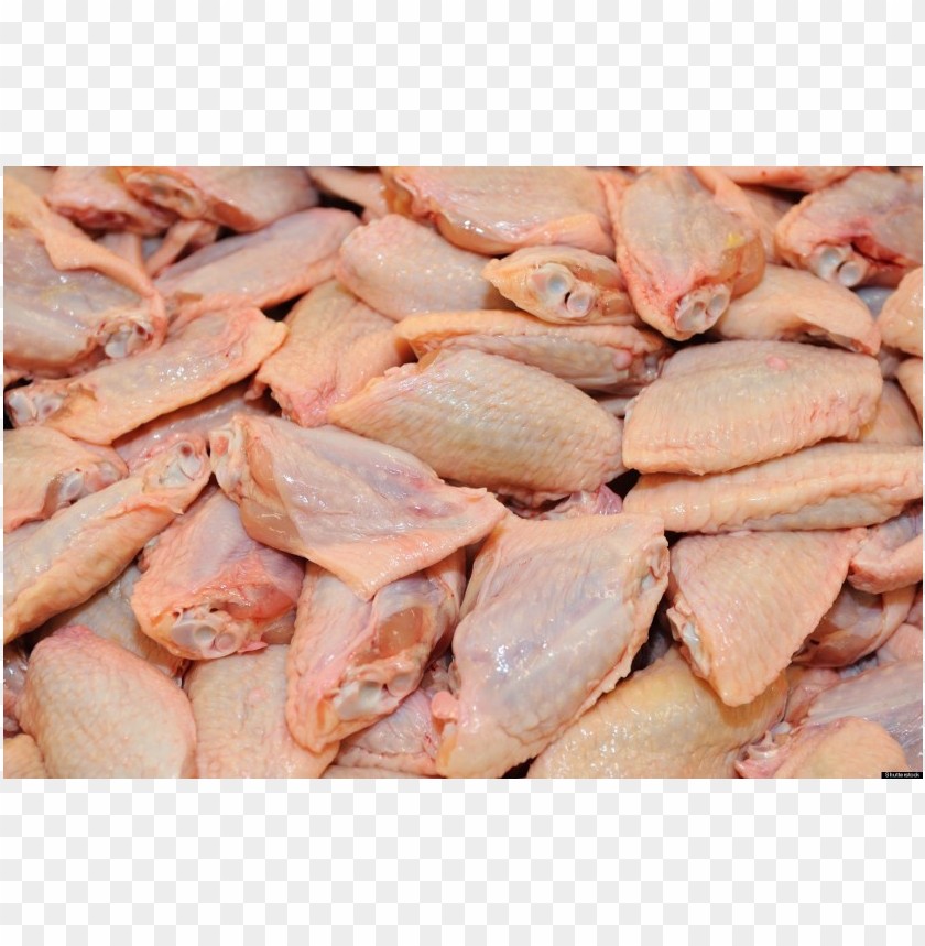 broiler chicken meat, chicken,broiler,chickenmeat