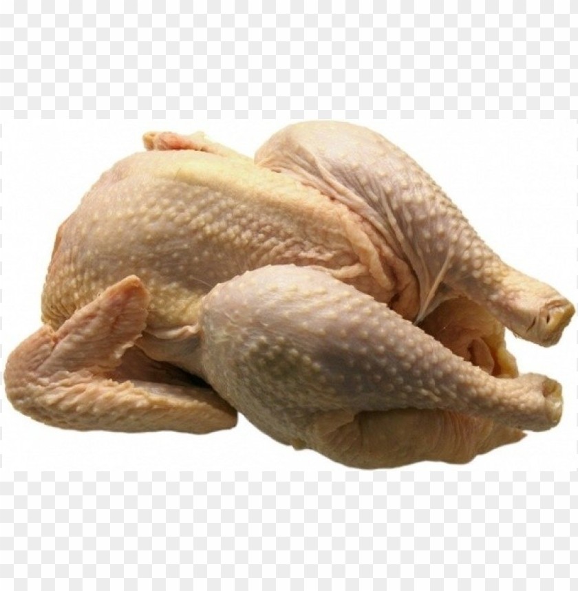 broiler chicken meat, chickenmeat,broiler,chicken