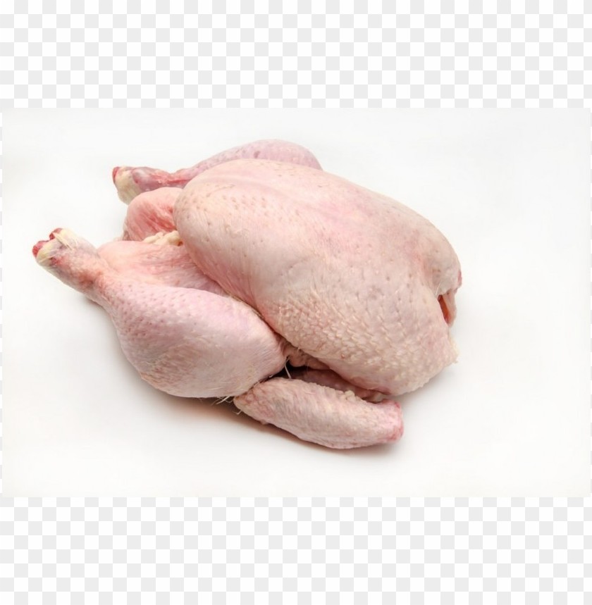 broiler chicken meat, chickenmeat,broiler,chicken