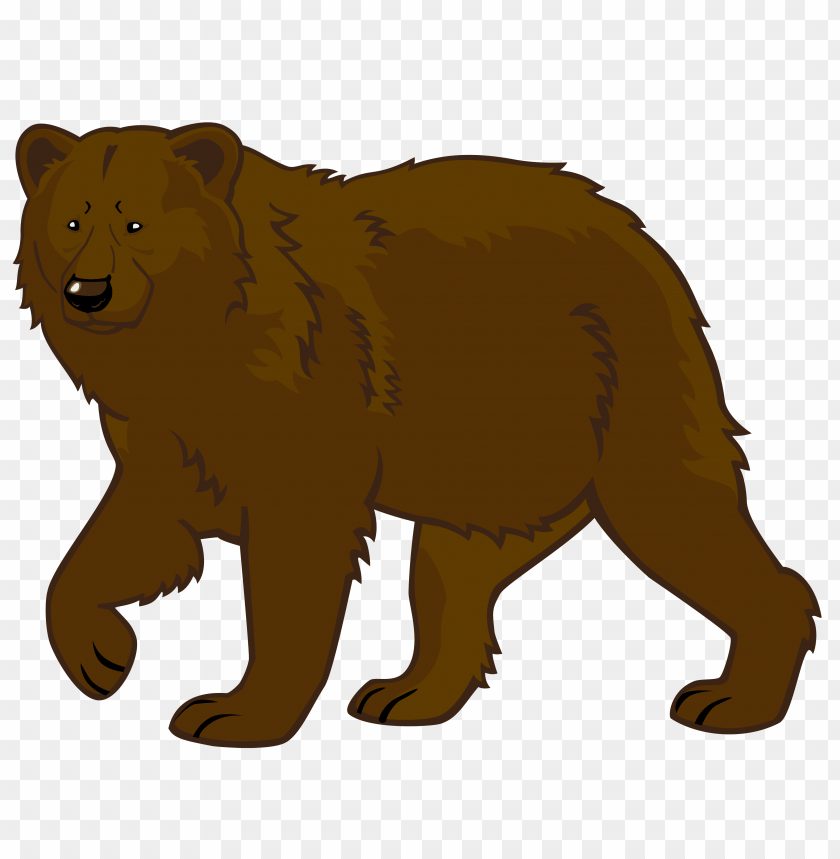 bear, brown