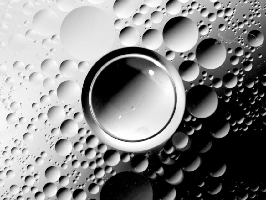 Bubbles Bw Form Gray White Background