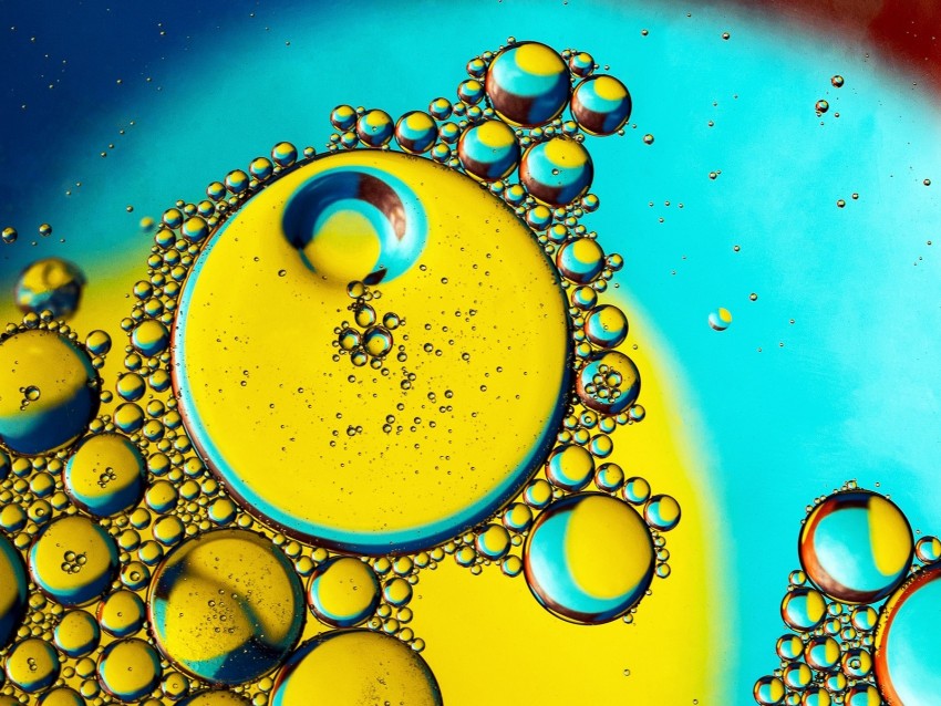 bubbles, liquid, oil, transparent, macro